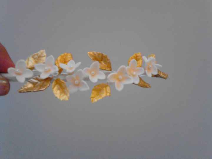 Opinion coronita pajesitas - 1