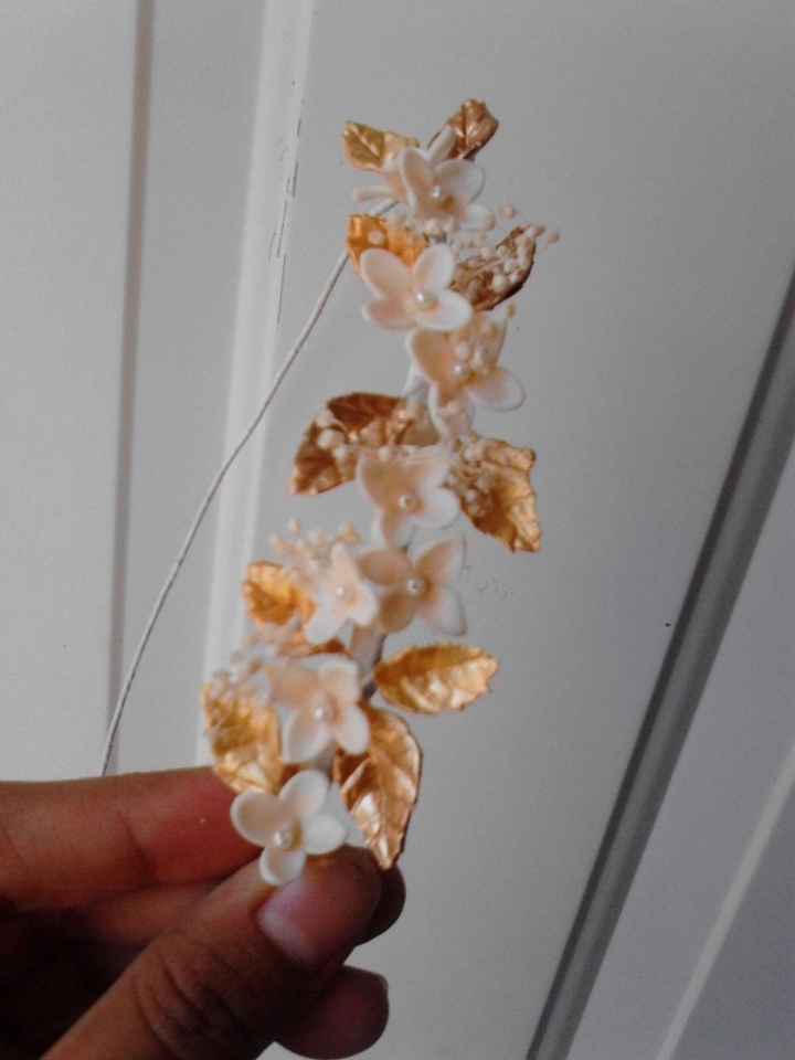 Opinion coronita pajesitas - 3