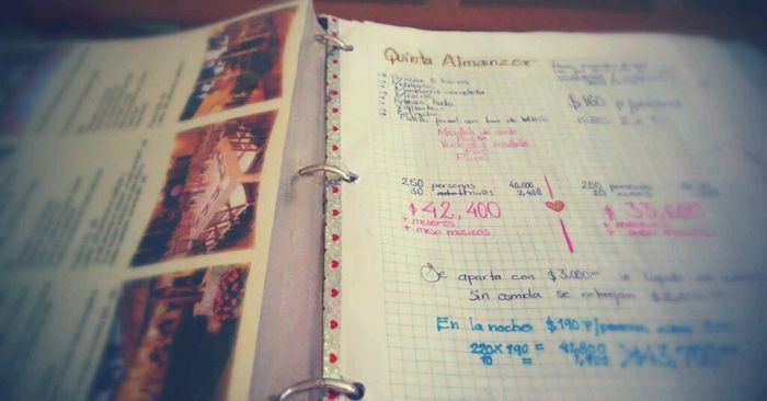 Organiza tu boda. recopilador. - 7