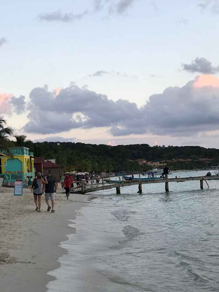 Alguien irá aquí para su luna de miel 🍯🌛 - 1