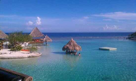 Alguien irá aquí para su luna de miel 🍯🌛 - 4