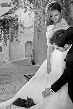 Novias gatunas 😀🐈 - 2