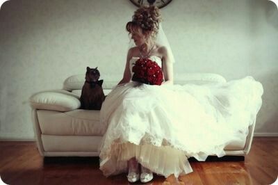 Novias gatunas 😀🐈 - 14