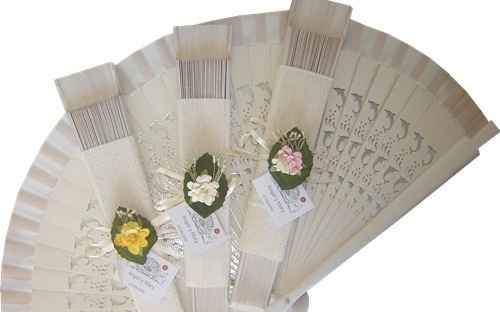 Les presento: Nuestros abanicos - 1