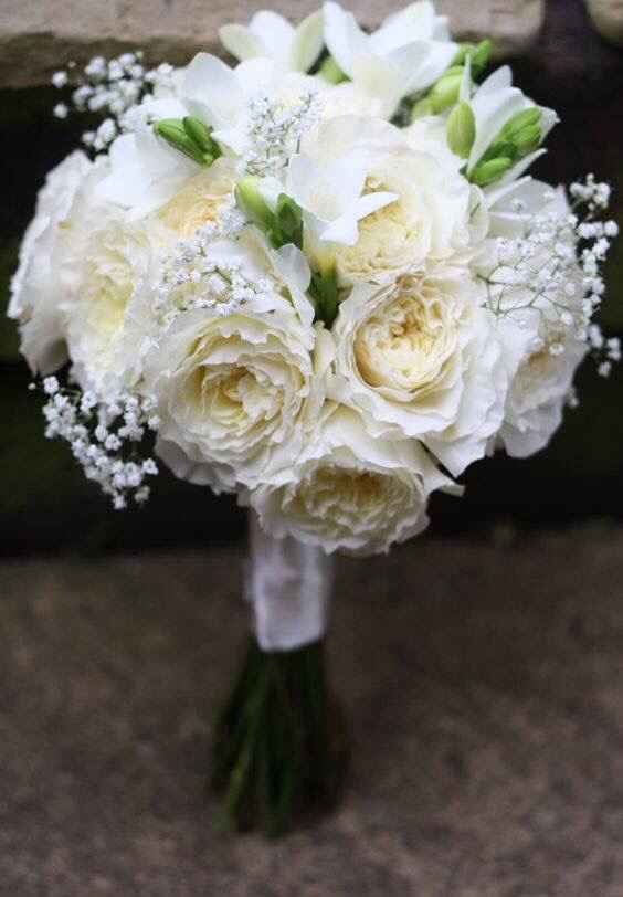 Que ramo les gusta más ? - 2