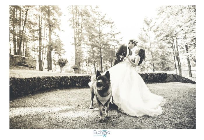 Proveedor de fotos - 6