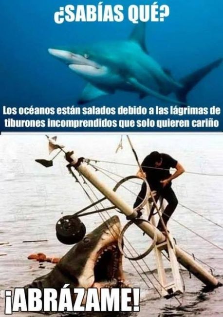 Complicaciones tras complicaciones :( - 1