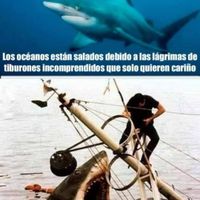 Complicaciones tras complicaciones :( - 1