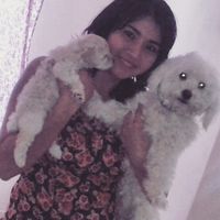 Sesión con mascotas!! - 1