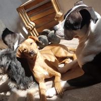 ¿Cómo pasarán esta navidad? - 1