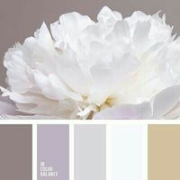 Combinaciones de colores en gris y beige.. - 2