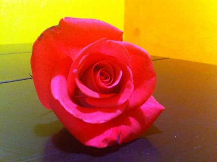 Flores para mi boda mi tercer avance - 2