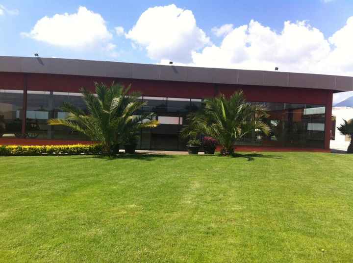 Mi salón jardin..se los presento. - 1