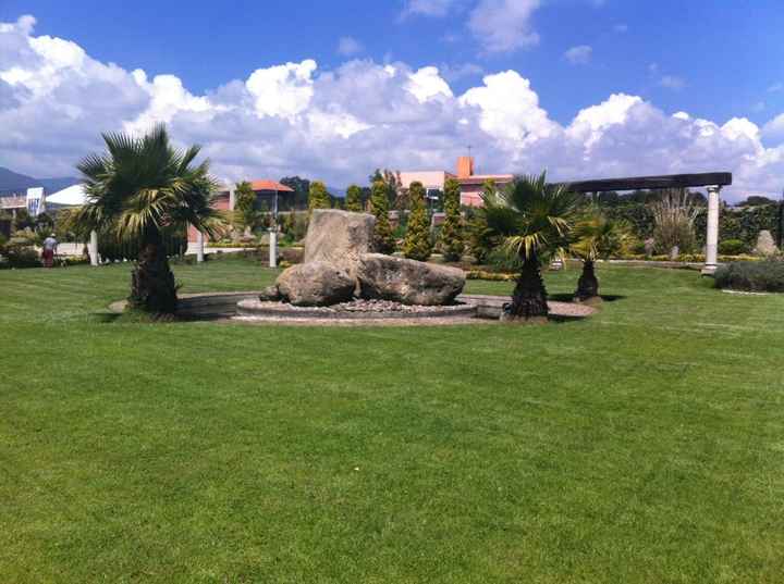 Mi salón jardin..se los presento. - 2