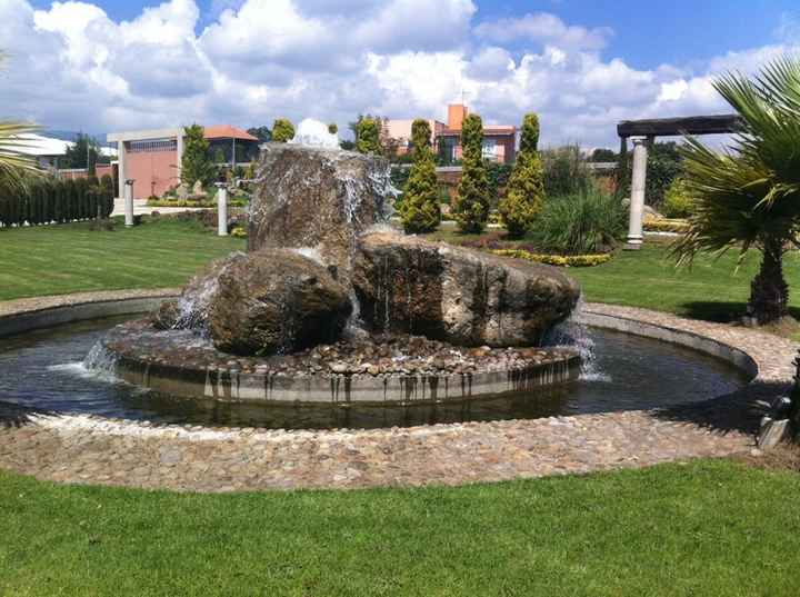 Mi salón jardin..se los presento. - 2