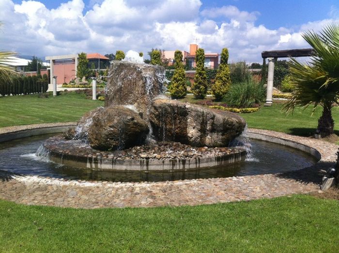 Mi salón jardin..se los presento. - 2