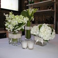 Flores 