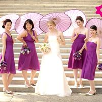 Boda linda