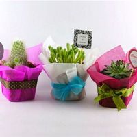 decoradas