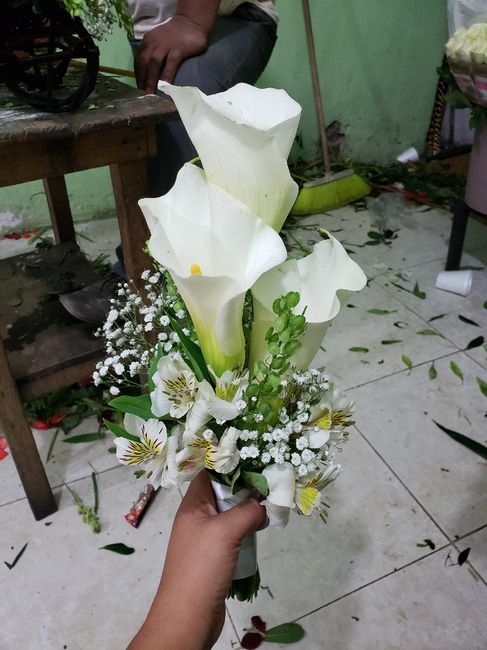 Damas “ramo o no” - 1