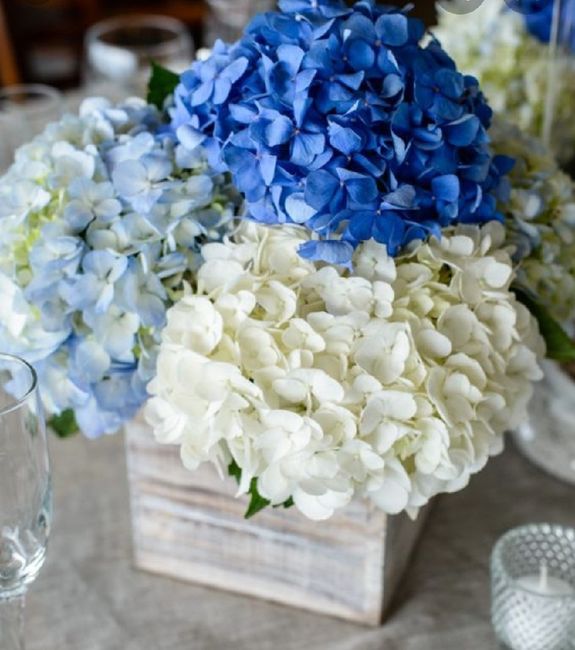 Temática sencilla 31