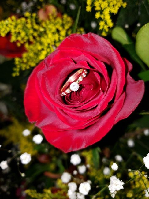 Obsesión con el anillo? 13