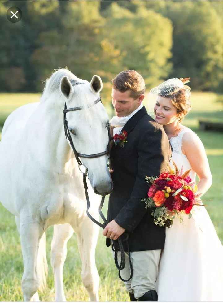 Caballos en la boda - 3