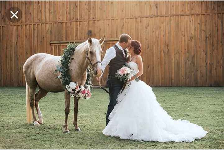 Caballos en la boda - 8