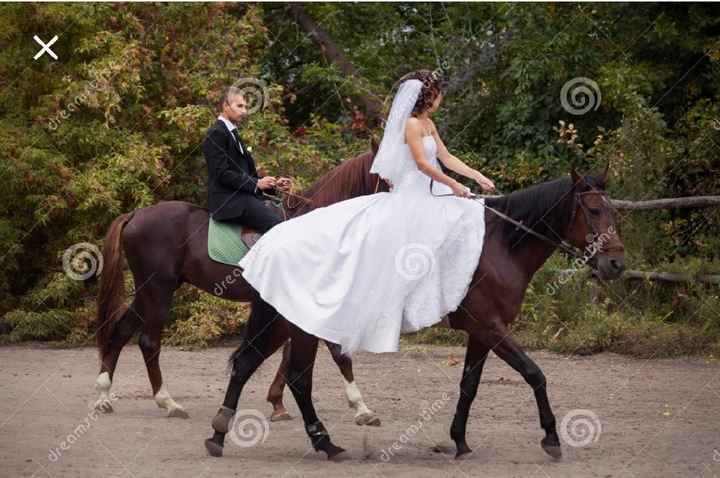 Caballos en la boda - 13