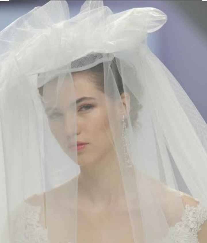 Velos con sombreros - 5