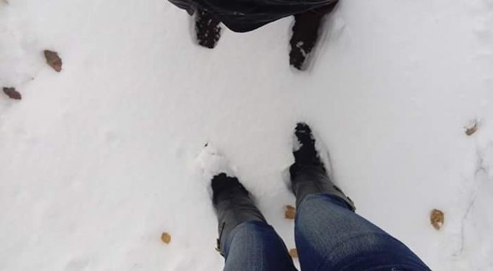 mas de 20 cms d nieve