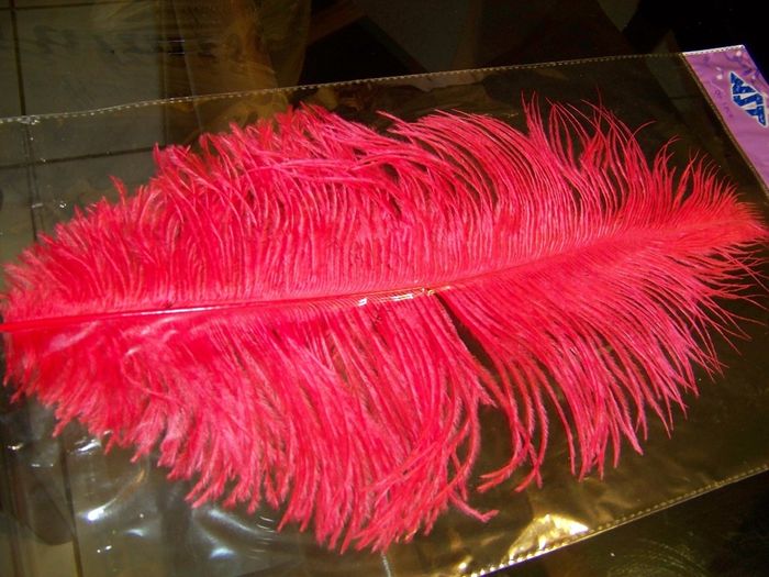 Pluma que compre