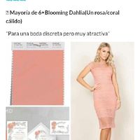 ¡Resultados! Descubre el color ideal para tu boda🌈 - 1