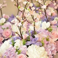 Colores de primavera 