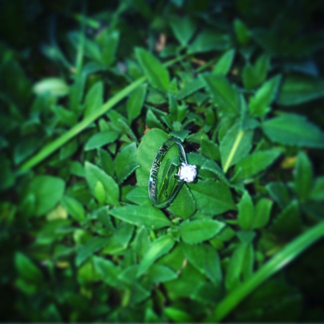  Mi anillo de compromiso - 3