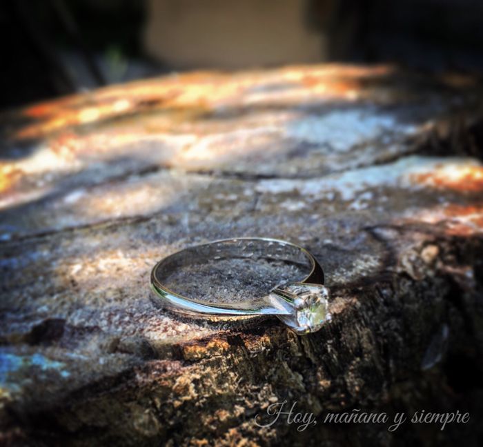  Mi anillo de compromiso - 5