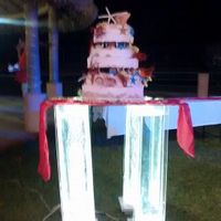 Hola mi hermosa comunidad de vuelta a la realidad! - 2