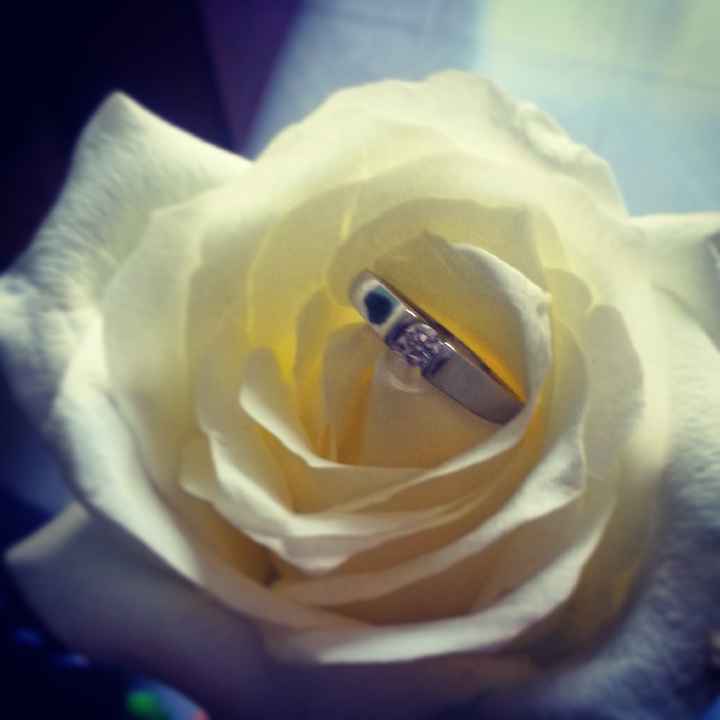 TE QUIERES CASAR CONMIGO?