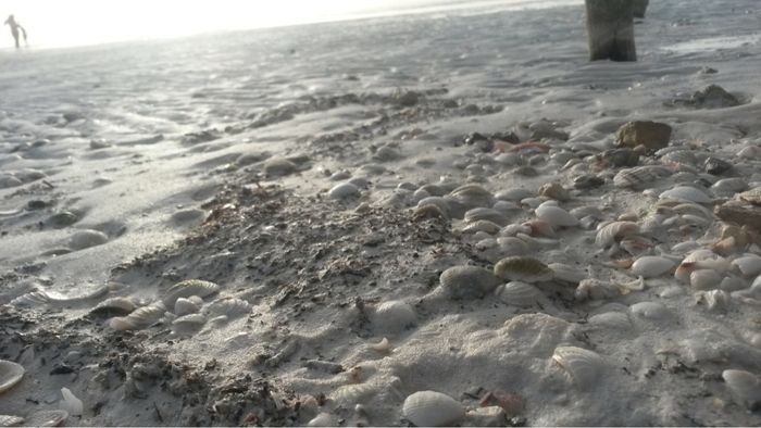 ¿holbox? o ¿cancun? - 1
