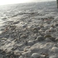 ¿holbox? o ¿cancun? - 1