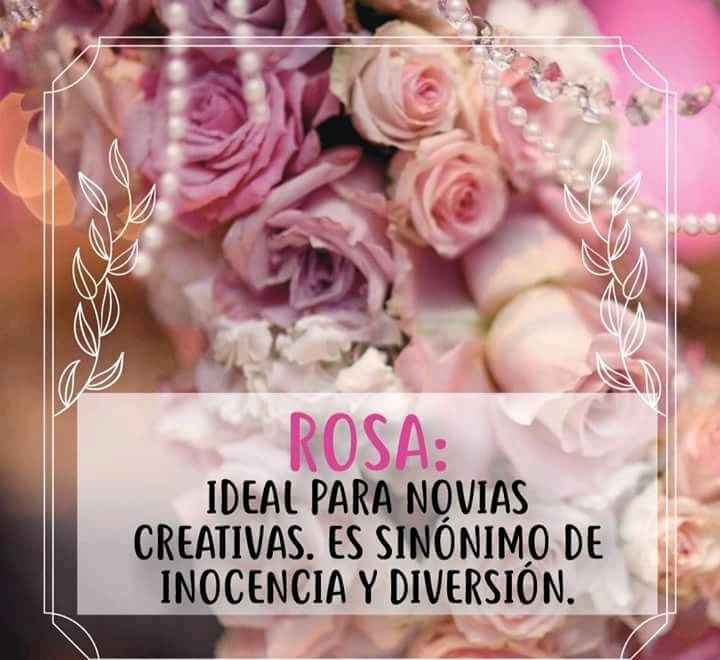 La boda y los colores 💜💚💛 - 2