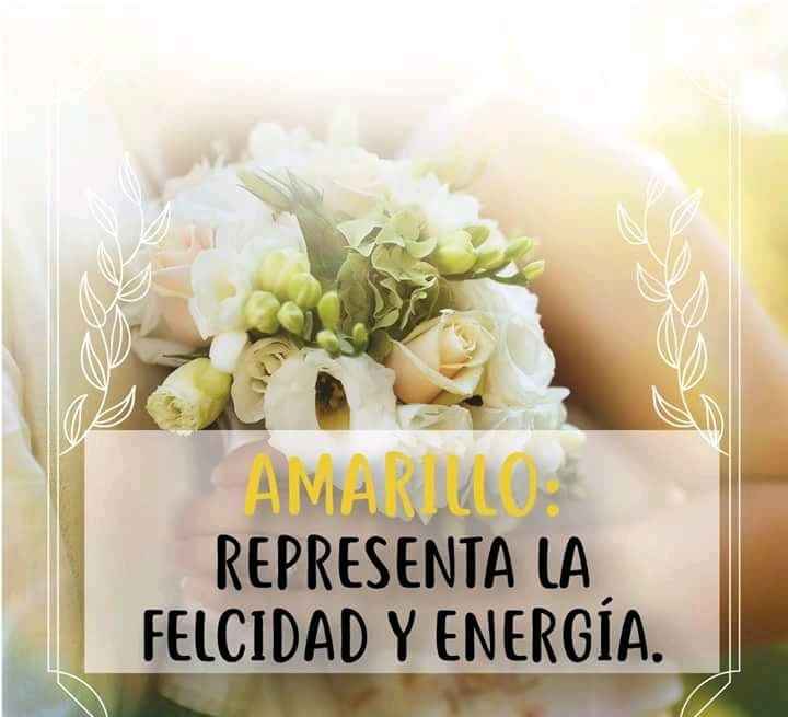 La boda y los colores 💜💚💛 - 6