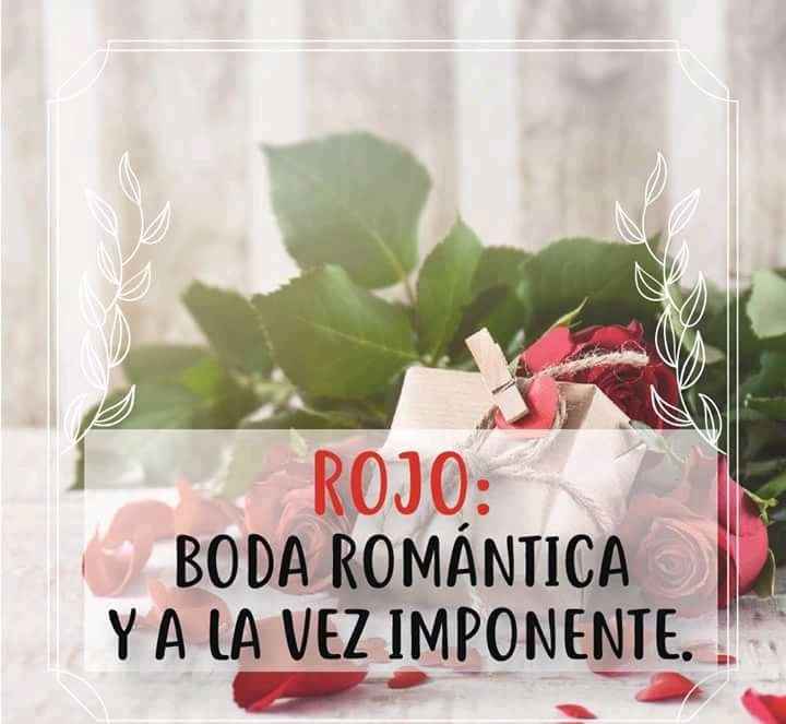 La boda y los colores 💜💚💛 - 7