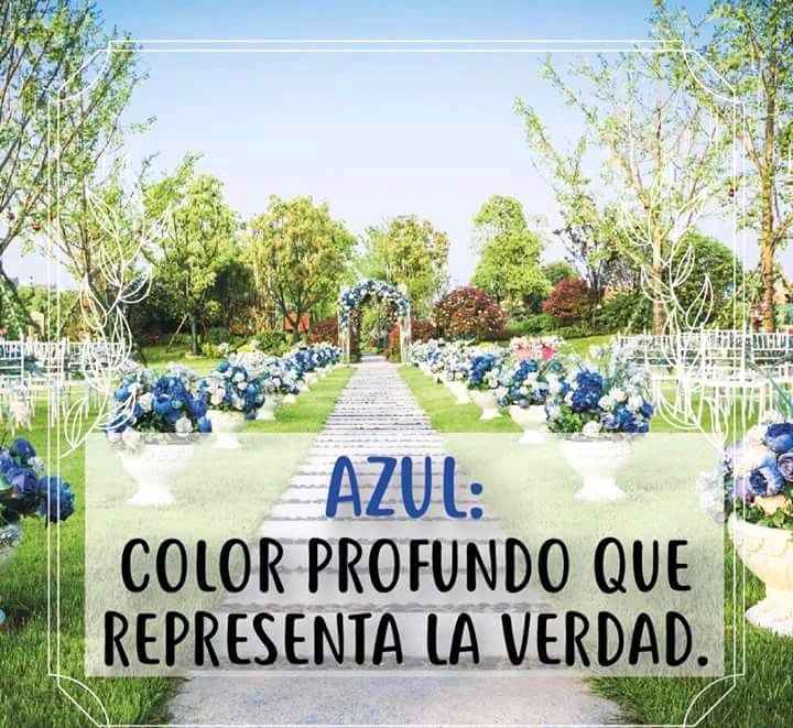 La boda y los colores 💜💚💛 - 8