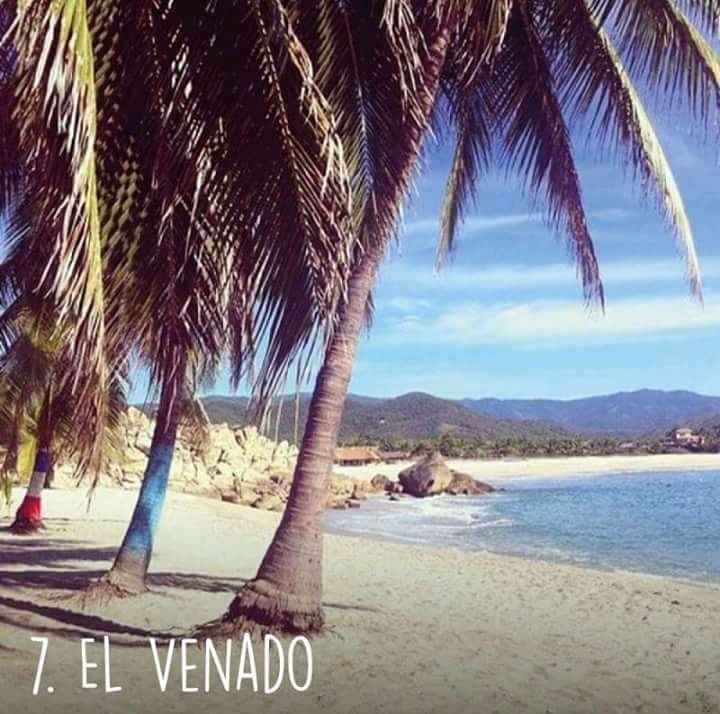 Playas de Oaxaca 🏝️🌤️ - 8