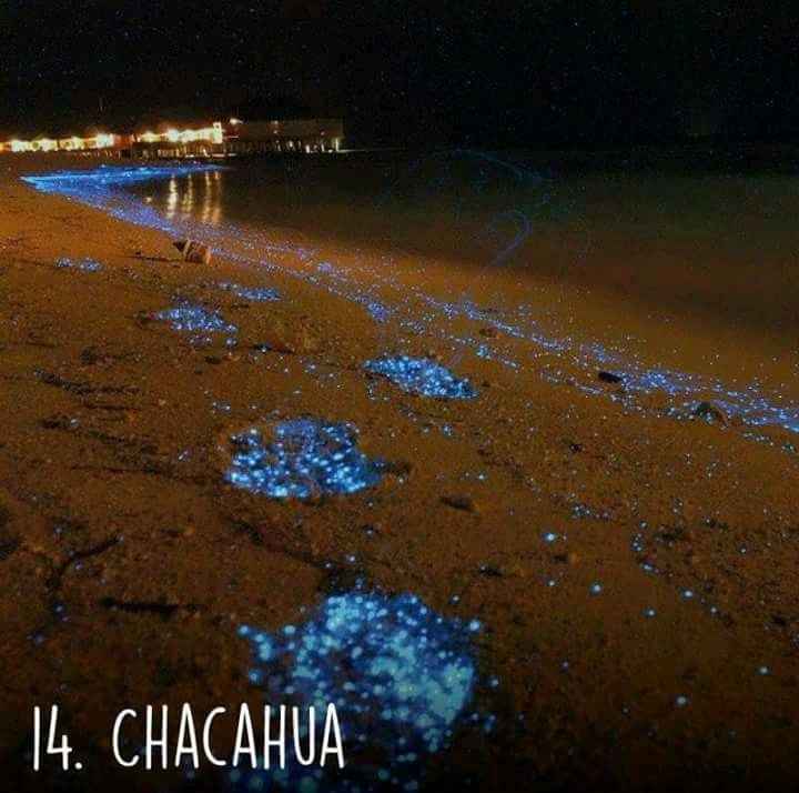 Playas de Oaxaca 🏝️🌤️ - 15