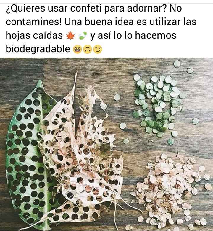 Confetti ecológico 🍂🌿 - 1