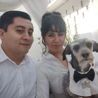 Fotos con tus perrhijos 🐕 - 1