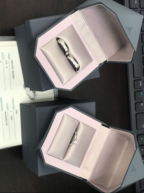 Búsqueda finalizada; ¡ya tenemos argollas! 2