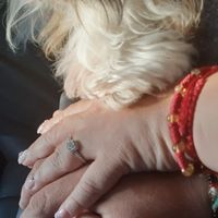 ¿Ya han hablado sobre tener o no mascotas? - 1